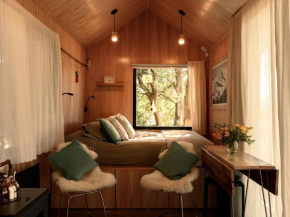Encuentro Silvestre. Tiny house en Lago Lolog